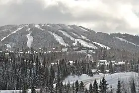 Vue aérienne de la station.