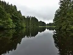 L'étang de la Chabassière.