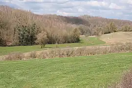 Vue générale du vallon de l'Ar à Germiny.