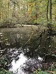 L'étang de l'Ermite et son île