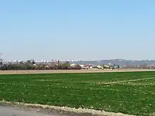 Photographie montrant les maraichages à Vaulx-en-Velin