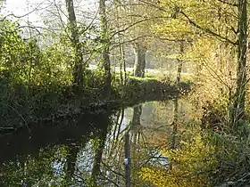 Photographie d'une rivière bordée d'arbres aux couleurs automnales.