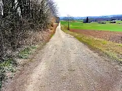 Ancienne voie romaine, aujourd'hui piste agricole.