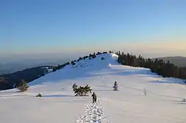 La montagne de Lure.