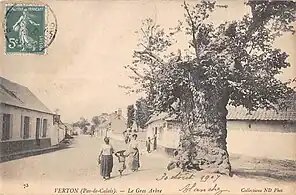Le Gros Arbre en 1907.