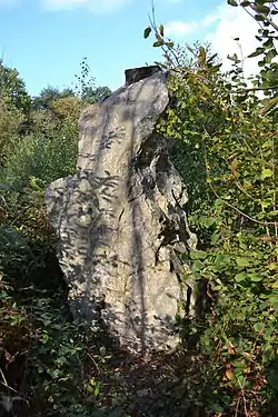 Image illustrative de l’article Menhir de la Drouetterie