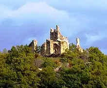 Au sommet d'une colline boisée, quelques pans de murs émergent, les plus hauts sont deux fois plus hauts que les arbres.