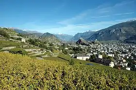 Image illustrative de l’article Vignoble du Valais