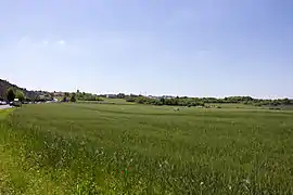 Vue d'un grand espace agricole en forme de cuvette légère.