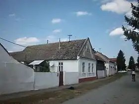 Vinkovački Banovci