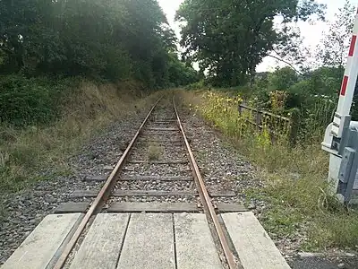 Voie envahie par la végétation (ligne de Limoges-Bénédictins à Angoulême suspendue depuis 2018), ici à Chabanais.