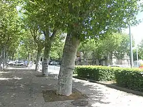 Image illustrative de l’article Cours Sablon