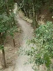 Vue d'un pont à Bonnelles.
