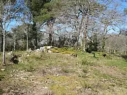 Image illustrative de l’article Dolmens de Mané-Kervilor