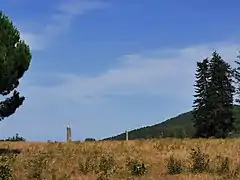 Vue latérale des deux menhirs.