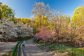 Image illustrative de l’article Jardin botanique Fomine de Kiev