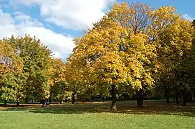 Image illustrative de l’article Pole Mokotowskie