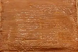 Détail de la croûte.