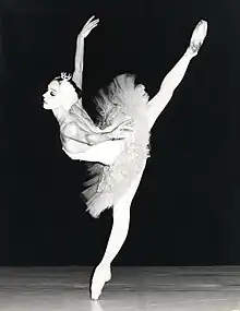icône décorative