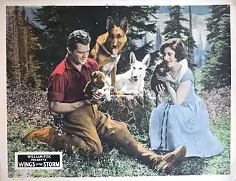 Wings of the Storm (1926)