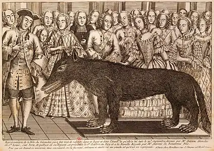 Présentation du loup des Chazes à la cour de Versailles. Coiffé d'un tricorne, Antoine de Beauterne, fils cadet de François Antoine, est représenté à gauche de la gravure. Au centre, Louis XV palpe la bête naturalisée. La reine Marie Leszczynska se tient à la droite du souverain. Gravure publiée chez Mandare.