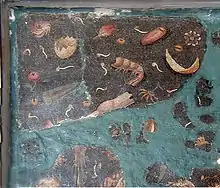 Pavement de Xenia, Oudna.