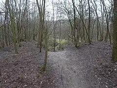 Ancien talus de la ligne 25A s'interrompant là où les deux voies rapides enjambaient les voies lentes.