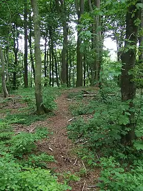 Vue de l'un des tertres au sommet du Yding Skovhøj.