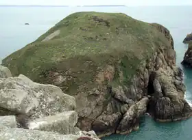 Image illustrative de l’article Ynys Cantwr