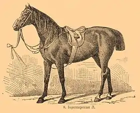 Carrossier du Yorkshire dans le Dictionnaire encyclopédique Brockhaus et Efron (1890—1907)