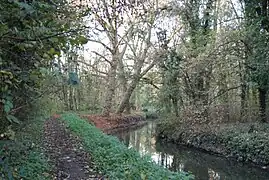 L'Yvette à Sillery.