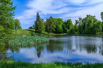 Étang de Heřmanův Městec.