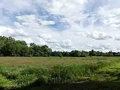 La zone humide au sud de la RD 81, à Gurat.