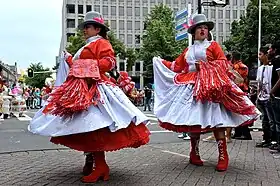 Image illustrative de l’article Zomercarnaval