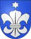 Blason de Zumholz