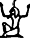 C11 C11