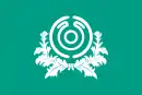 Drapeau de Iijima-machi