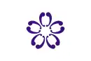 Drapeau de Sakura-shi