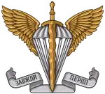 Image illustrative de l’article Forces d'assaut aérien ukrainiennes