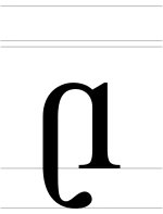 Image illustrative de l’article 𝼇