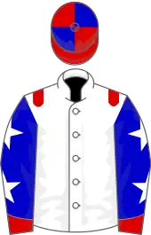 Image illustrative de l’article Azeri (cheval)