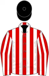 Image illustrative de l’article Hula Dancer