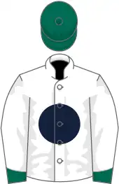 Image illustrative de l’article Storm Cat