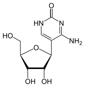 Image illustrative de l’article Pseudocytidine