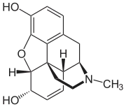 Image illustrative de l’article Morphine