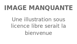 Image illustrative de l’article Tamerlan Tmenov