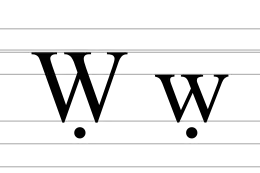 Image illustrative de l’article Ẉ