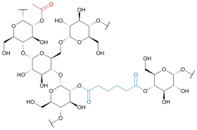 Image illustrative de l’article Adipate de diamidon acétylé