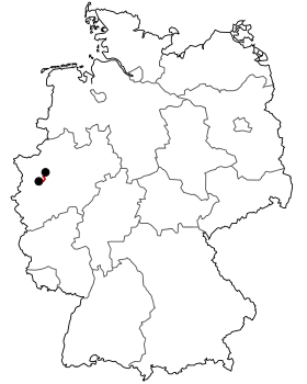 Image illustrative de l’article Bundesstraße 227