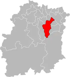 Canton de Ris-Orangis